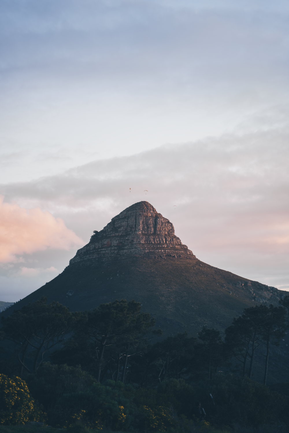 Let me tell the story of your adventure - Photography & Videography - South Africa