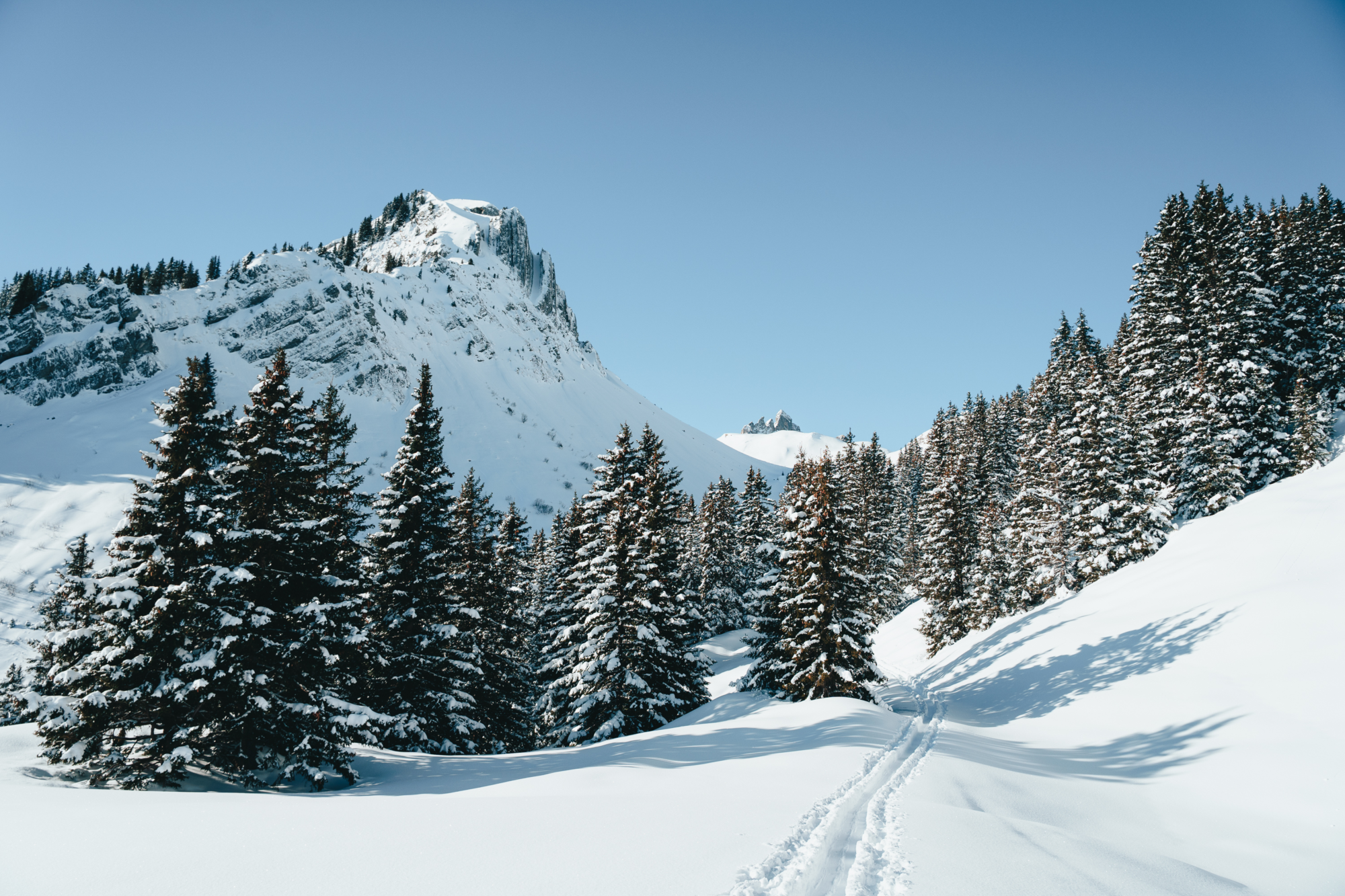 Let me tell the story of your adventure - Photography & Videography - Skitouring