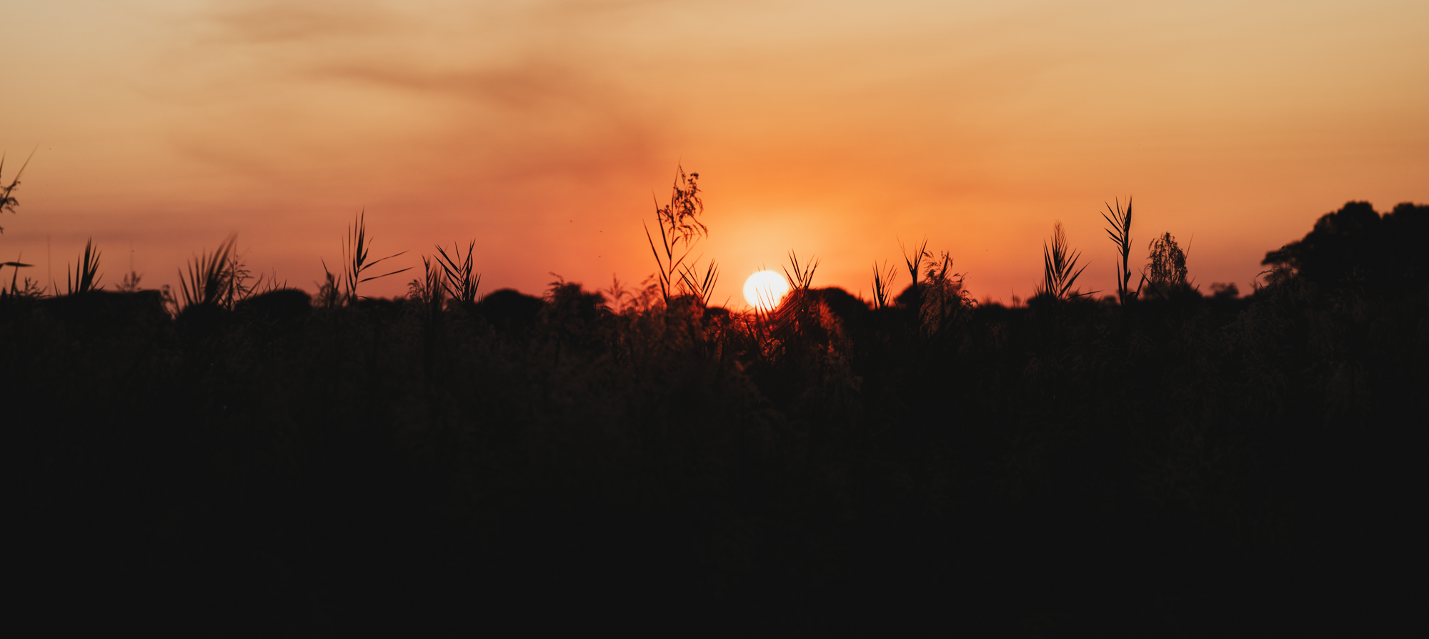 Let me tell the story of your adventure - Photography & Videography - South Africa