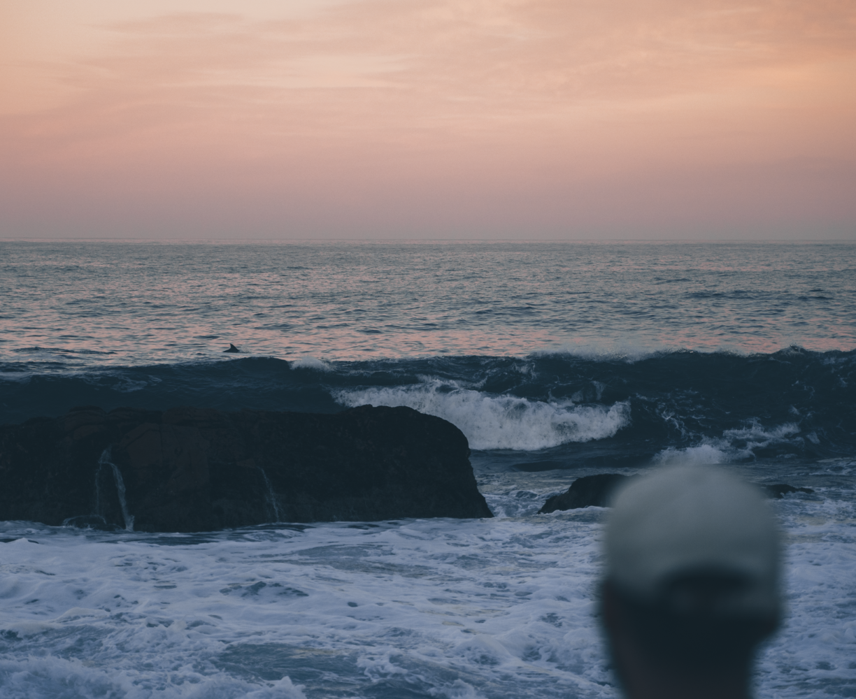 Let me tell the story of your adventure - Photography & Videography - South Africa